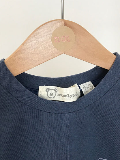 Felpa blu avio con toppe con stampa dinosauri - taglia 2-3 anni